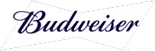 Promoção Bud FãCaptcha